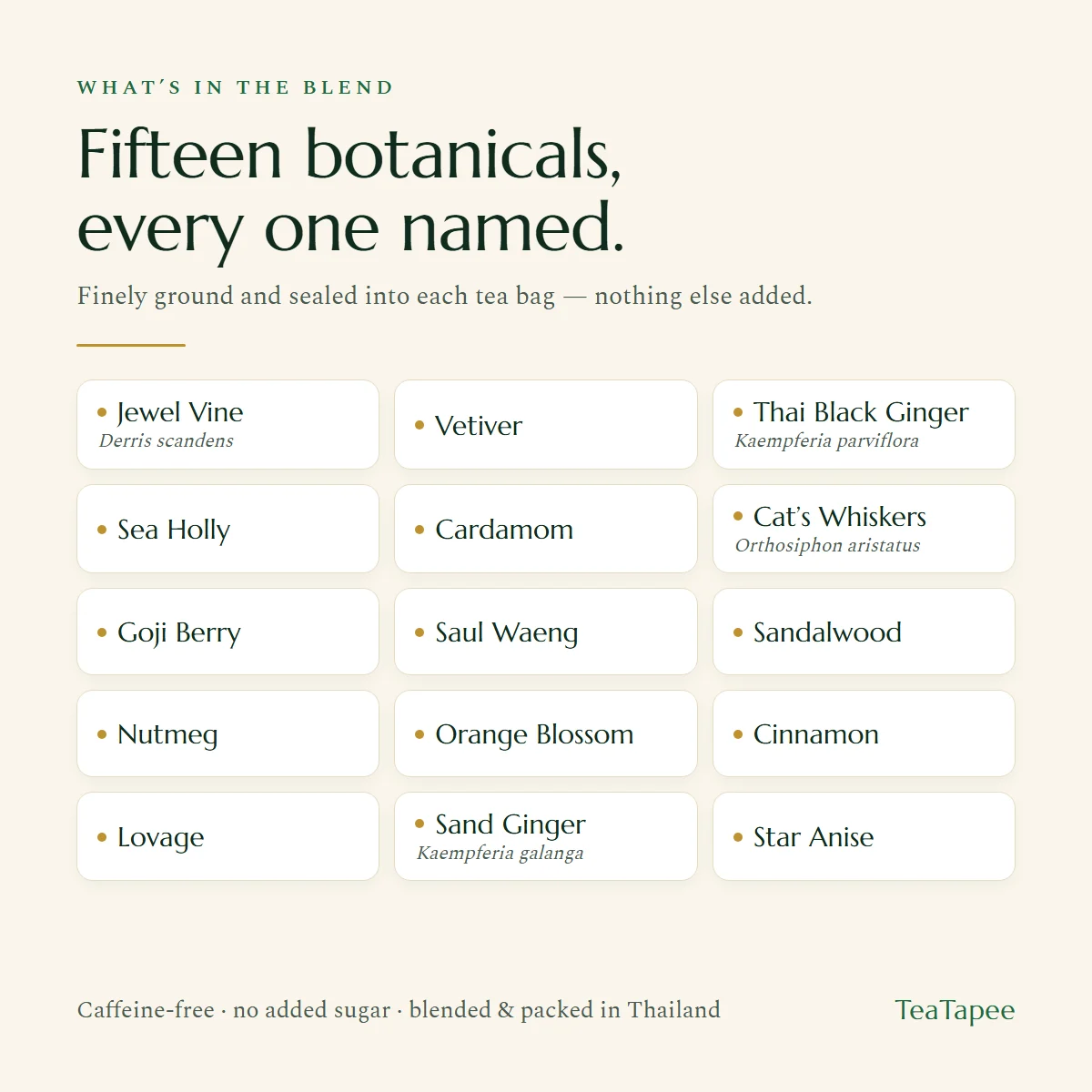 Thai Botanical Tea — 15-Herb Caffeine-Free Blend 6 The fifteen botanicals in the Thai herbal tea: Jewel Vine (Derris scandens), Vetiver, Thai Black Ginger (Kaempferia parviflora), Sea Holly, Cardamom, Cat’s Whiskers (Orthosiphon aristatus), Goji Berry, Saul Waeng, Sandalwood, Nutmeg, Orange Blossom, Cinnamon, Lovage, Sand Ginger (Kaempferia galanga), Star Anise